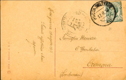 Y1917-cartolina Gorizia Isonzo Affrancata 5c. Leoni Con Annullo Posta Militare 2 - Guerre 1914-18