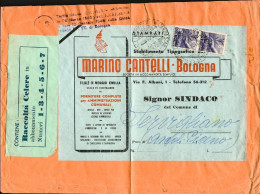 1949-grosso Bustone Mancante Del Lembo Di Chiusura Affrancato Coppia L.6 Democra - 1946-60: Poststempel