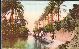 1911/12-"Guerra Italo-Turca,Tripoli Giardino" - Libya