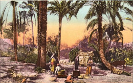 1911/12-"Guerra Italo-Turca,Tripoli (Italia)accampamento Di Arabi" - Libye