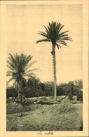 1911/12-"Guerra Italo-Turca,in Vedetta" - Libyen