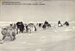 1976-Canada Cartolina "carried By Dog-sledge/trasportata Da Cani Slitta" Tassata - Premiers Vols