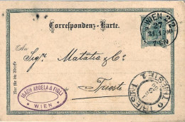 1900-Autriche Osterreich Austria Intero Postale 5h. Annullo Di Vienna Del 31 Gen - Altri & Non Classificati