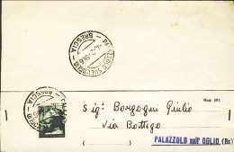 1966-cartolina Comunale Affrancata L.20 Michelangiolesca Isolato Annullo Di Pala - 1961-70: Marcophilia