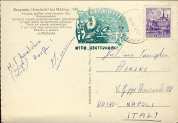 1971-Austria Con Bel Timbro Verde Wien Hinterbrul (il Più Vasto Lago Sotterraneo - Lettres & Documents