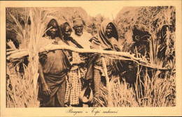 1911/12-"Guerra Italo-Turca,Bengasi Tipi Sudanesi" - Libyen