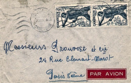 1950-Camerun Lettera Diretta In Francia Affrancata Coppia Fr. 4 - Storia Postale