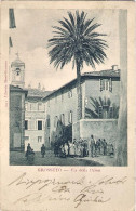 1902-"Grosseto Via Della Palma-animata" - Grosseto