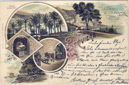 1897-tipo Gruss "souvenir De Riviera" - Genova (Genua)