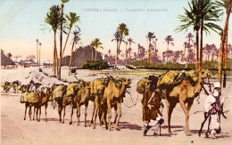 1911/12-"Guerra Italo-Turca,Tripoli Italia Trasporto Mercanzie" - Libye