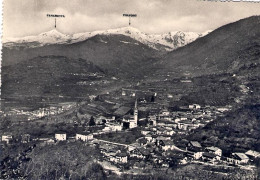 1957-cartolina Panorama "Strigno" Viaggiata - Trento