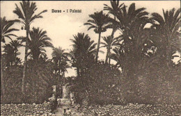 1911/12-"Guerra Italo-Turca,Derna I Palmizi" - Libya