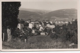 LANGOGNE  VUE DE LA ROUTE DE MENDE - Langogne