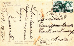 1936-Eritrea Cartolina "Euforbia Candelabro" Diretta In Italia Affrancata 25 Cen - Erythrée