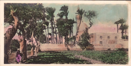 1920ca.-Egitto Mini Cartolina (14x7 Cm.) Foto Acquerellata "Alexandria Mosque Of - Autres & Non Classés