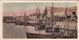 1920ca.-Egitto Mini Cartolina (14x7 Cm.) Foto Acquerellata "Alexandria The Harbo - Sonstige & Ohne Zuordnung