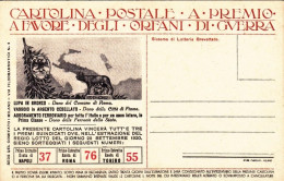 1920-cartolina Postale A Premio A Favore Degli Orfani Di Guerra Per L'estrazione - Heimat