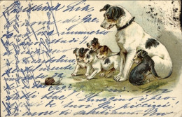 1899-"Cane, Cagnolini E Lumaca"cartolina Viaggiata - Chiens