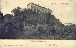 1905-Saluti Da Spilimbergo Castello Del Tagliamento, Cartolina Viaggiata - Pordenone