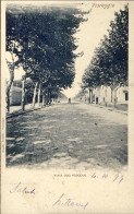 1899-Viareggio Viale Ugo Foscolo, Cartolina Viaggiata - Viareggio