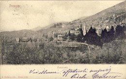 1901-Premeno Panorama (Verbania), Annullo Di Ambulante Arona Locarno (1) - Verbania
