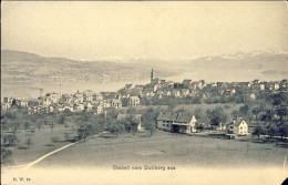 1904-Svizzera (angolo Mancante In Basso) Thalwil Wom Etzliberg Aus - Sonstige & Ohne Zuordnung