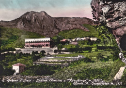 1956-Genova S.Stefano D'Aveto Stazione Climatica Roncolongo, Cartolina Viaggiata - Genova (Genoa)