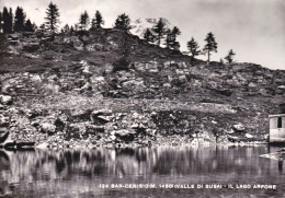 1952-Torino Bar Cenisio (Valle Susa) Il Lago Arpone, Cartolina Viaggiata - Autres & Non Classés