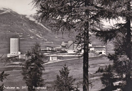 1951-Torino Sestriere Panorama, Cartolina Viaggiata - Autres & Non Classés