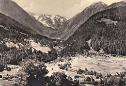 1956-Brescia Vezza D'Oglio Val Paghera, Cartolina Viaggiata - Brescia