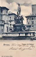 1900-Bologna Fontana Del Nettuno, Cartolina Viaggiata - Bologna
