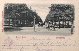 1904-Belgio Bruxelles Avenue Louise, Cartolina Viaggiata - Other & Unclassified