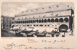 1903-Padova Sala Della Regione, Cartolina Viaggiata - Padova (Padua)