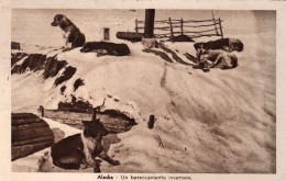 1936-Alaska Un Baraccamento Invernale, Al Verso Vedutina Di P. Lafortune Con I S - Marcophilia