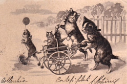 1903-gattini Che Spingono Un Carrettino, Cartolina A Rilievo Viaggiata - Chats