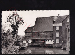 Rupelmonde - Oude Watermolen Bij Scheldemuseum - Fotokaart - Kruibeke