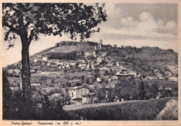 1925-Pavia Pietra Gavina Panorama - Pavia