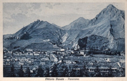 1925-Treviso Vittorio Veneto Panorama - Treviso