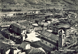1955-Cogno Brescia Panorama, Cartolina Viaggiata - Brescia