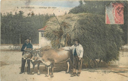 63 , Folklore Auvergnat , Attelage De Char , * 526 15 - Auvergne Types D'Auvergne