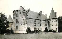 63 , VILLENEUVE LEMBRON , Le Château Féodal , * 526 08 - Autres & Non Classés