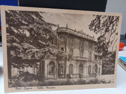Cartolina Novi Ligure Prov Alessandria,villa Minetta 1950 - Alessandria