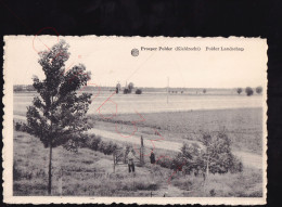 Prosper Polder (Kieldrecht) - Polder Landschap - Postkaart - Beveren-Waas