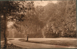 92 / Parc De SAINT-CLOUD - Allée De La Grande-Gerbe - Saint Cloud