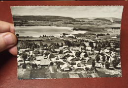 CPA 39 @ MARIGNY - Le Lac De Chalain - Vue Panoramique En 1958 - Sonstige & Ohne Zuordnung