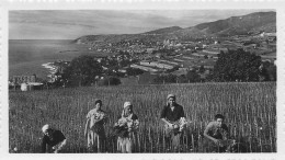 SAN REMO . 20 Photographies . - Europe