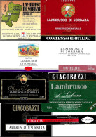 ITALIA ITALY - 16 Etichette Vino Rosso EMILIA Anni 70-80-90 Vino LAMBRUSCO DI SORBARA DOC - Lotto 2 - Rotwein