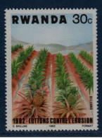 Rwanda, **, Yv 1099, Mi 1224, SG 1151, Lutte Contre L'érosion, Billons, - Kühe