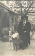 Themes Div-ref WW250 -carte Photo- Chiens - Chien - Dogs - Dog - - Chiens