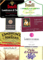 ITALIA ITALY - 16 Etichette Vino Rosso EMILIA Anni 70-80-90 Vino LAMBRUSCO DI SORBARA DOC - Lotto 4 - Rouges